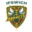 Ipswich Veterans Cricket