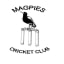 Magpies Cricket Club (Campbelltown)