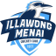 Illawong Menai Cricket Club