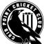 Crib Point Cricket Club