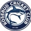 Rosebud Cricket Club