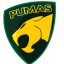 STC Pumas Cricket Club