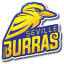 Seville Cricket Club (Seville Burras)