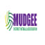 Mudgee District Netball Association