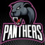 Panthers Netball Club (Wagga Wagga, NSW)