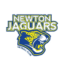 Newton Jaguars Netball Club