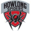 Howlong Netball Club