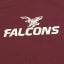 Falconsport Basketball