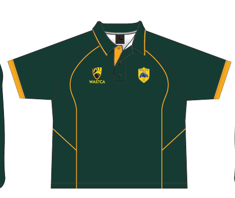 Mens T20 / One Day Shirt (Optional)