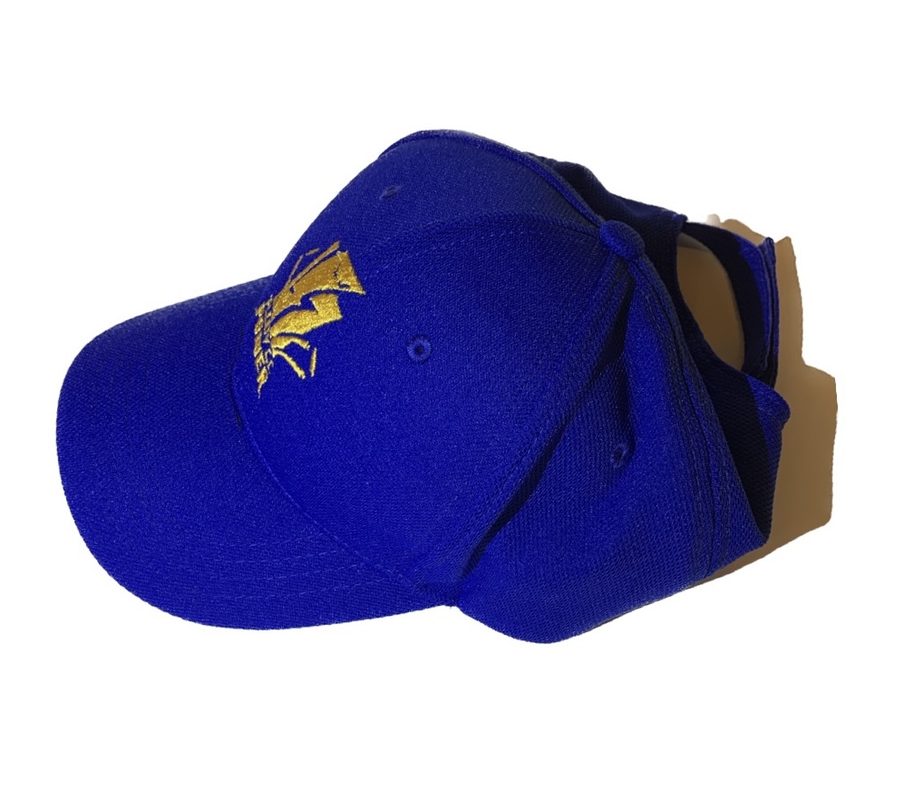 Plenty Cricket Club -Player Cap