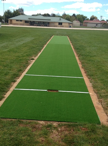 Cricket Pitch Upgrade Fund