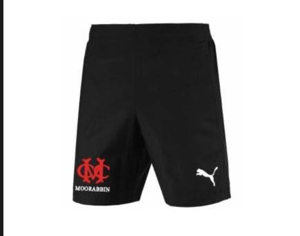 Puma Training shorts - black