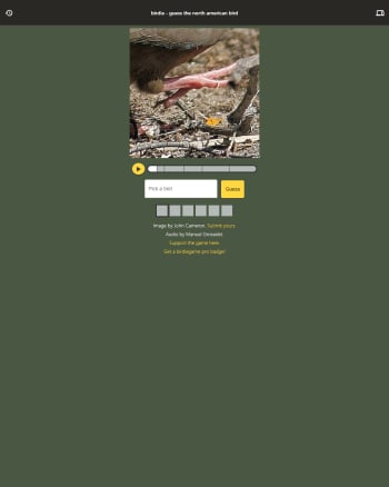 Birdie Game screenshot