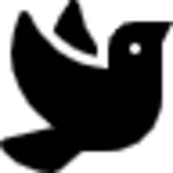Birdle icon