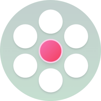 Blossom Word icon