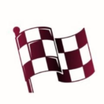 Flagdoku icon