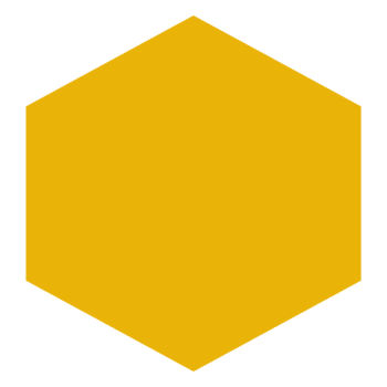 Gerrymandle icon