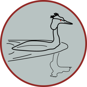 Grebe icon