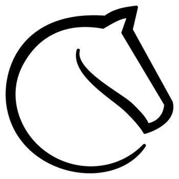 Lichess Daily Puzzle icon