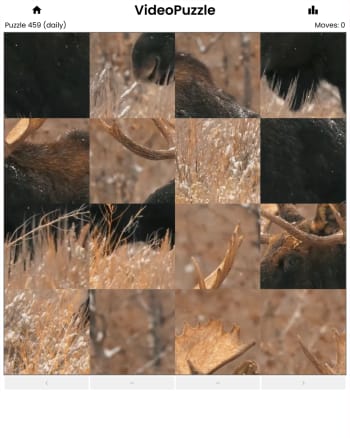 VideoPuzzle screenshot