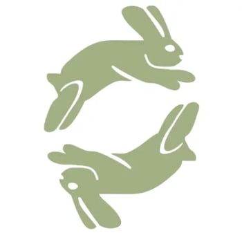 Word Bunny icon