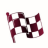 Flagdoku icon