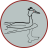 Grebe icon