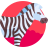 Zebra Puzzles icon