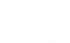 playposit logo