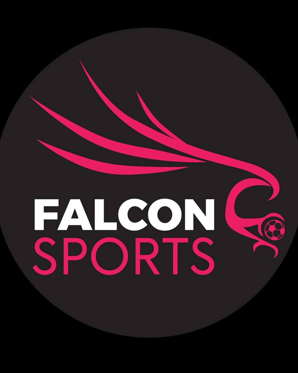 Adu Falco Padel