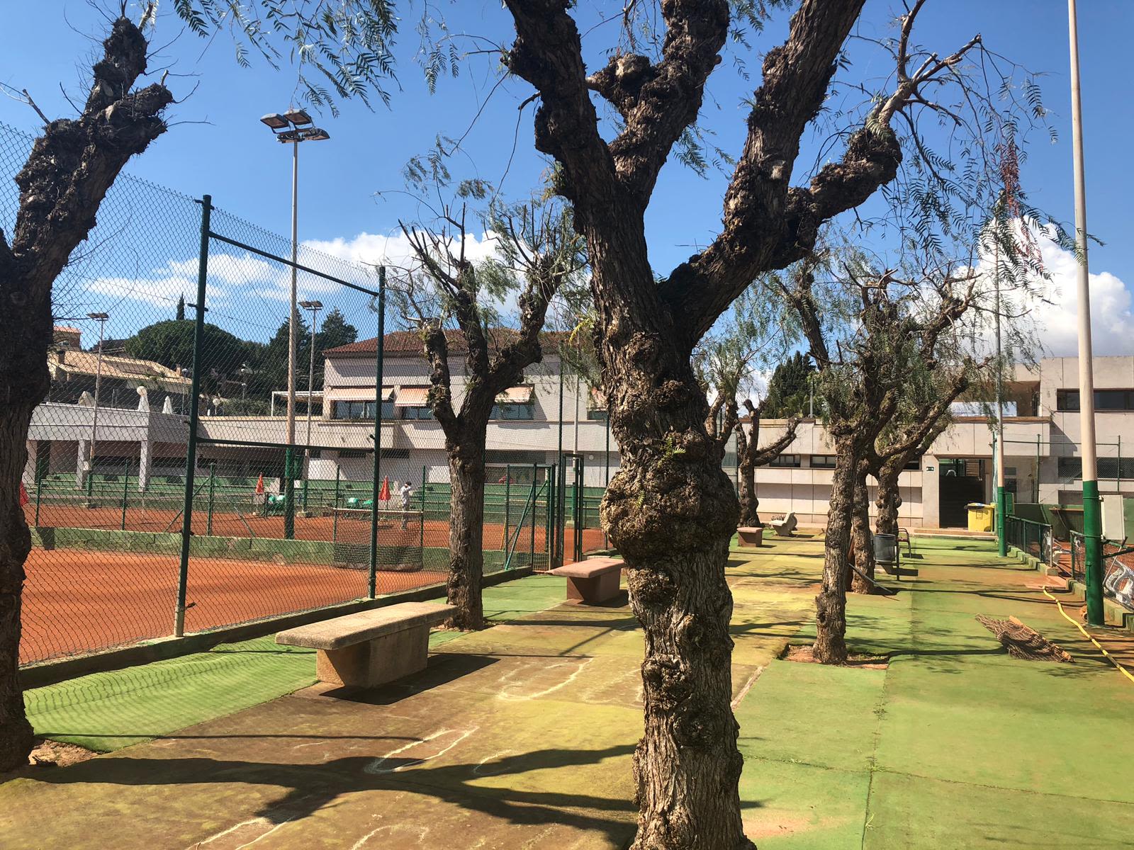 Club Tennis Vilanova padel courts