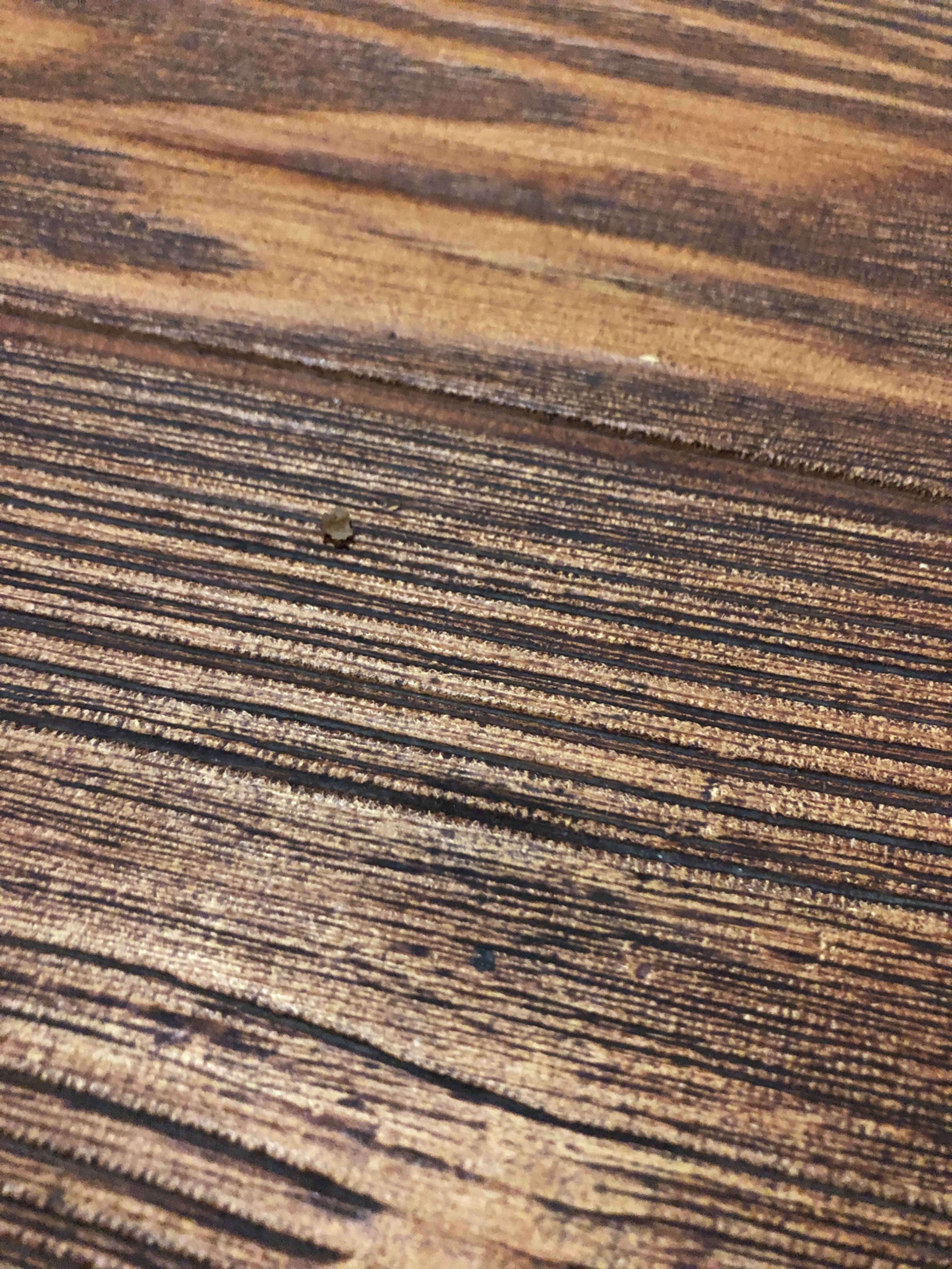 Julio Ordoñez Piedras 