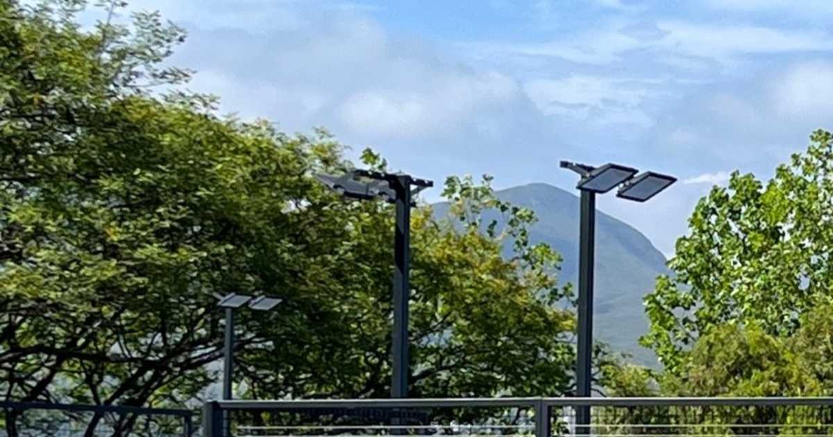 Cancha de pádel en Garden Route Padel, George
