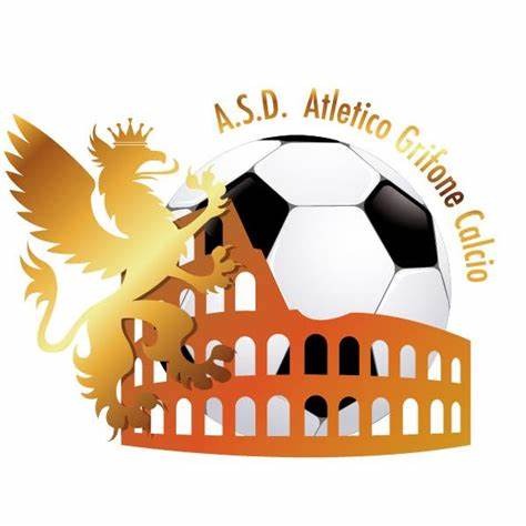 Campi e struttura di Asd Atletico Grifone