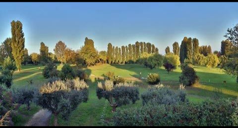 Torneino della domenica avanzato