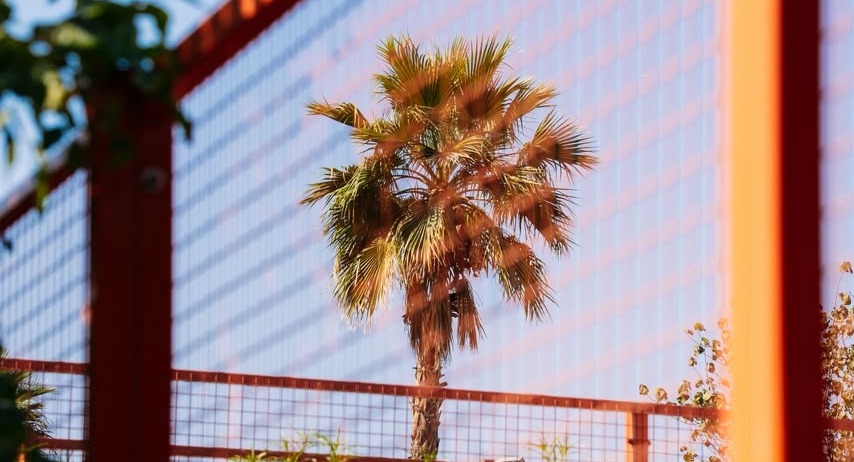 Matcha Club Al Quoz padel courts