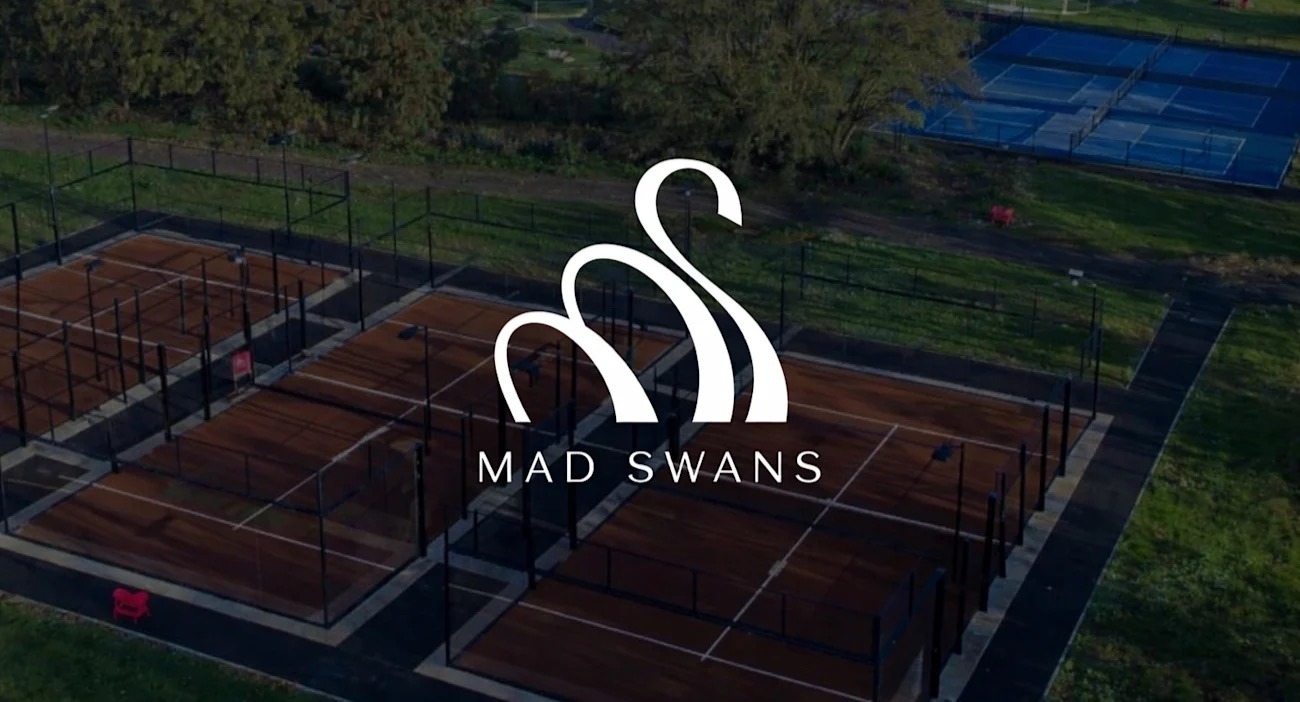 Mad Swans - In The Mendips