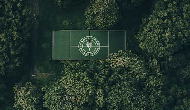 Padel Tree @ Playground