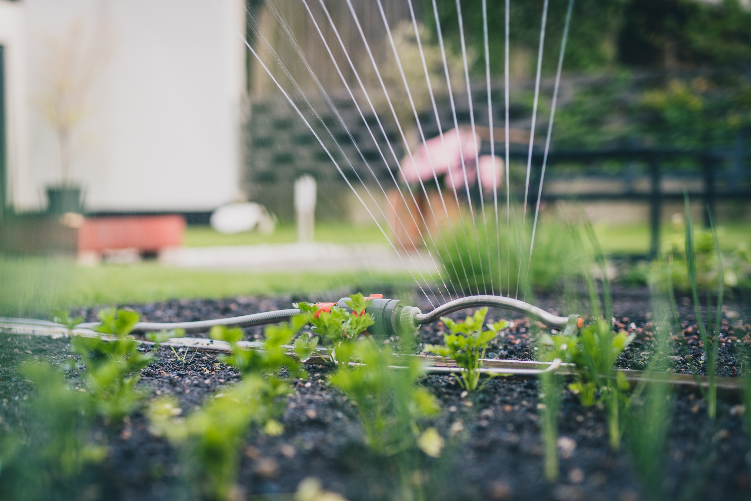 Today I Will: Build a Smart Garden with IoT