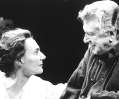 The Butterfly Collection