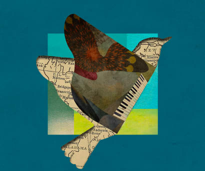 Magnificent Bird / Book of Travelers