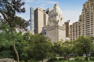The Ritz-Carlton New York, Central Park