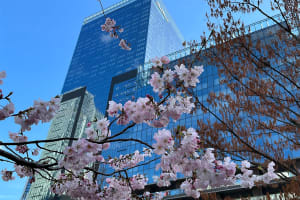 The Okura Tokyo