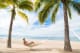 Sheraton Buganvilias Resort & Convention Center