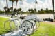 Clearwater Beach Sheraton Resort on Sand Key