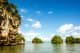 Samana Tropical plants on small islands in Los Haitises Karibischer National park