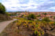 Elciego