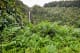 Island of Hawaii Akaka Falls State Park, Island