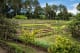 Blancaneaux Lodge Organic Garden