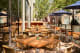 Hotel PUR, Quebec, a Tribute Portfolio Hotel Dining